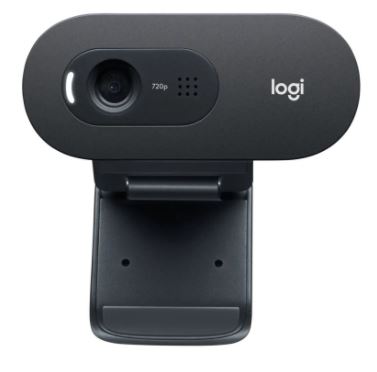 Logitech Webcam C505e (960-001372)